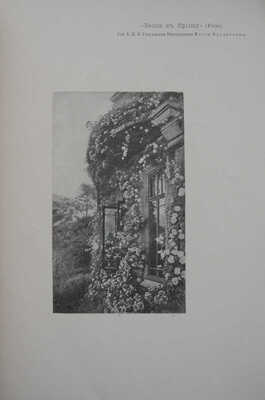 Иосиф Крачковский. [Каталог]. СПб., 1902.